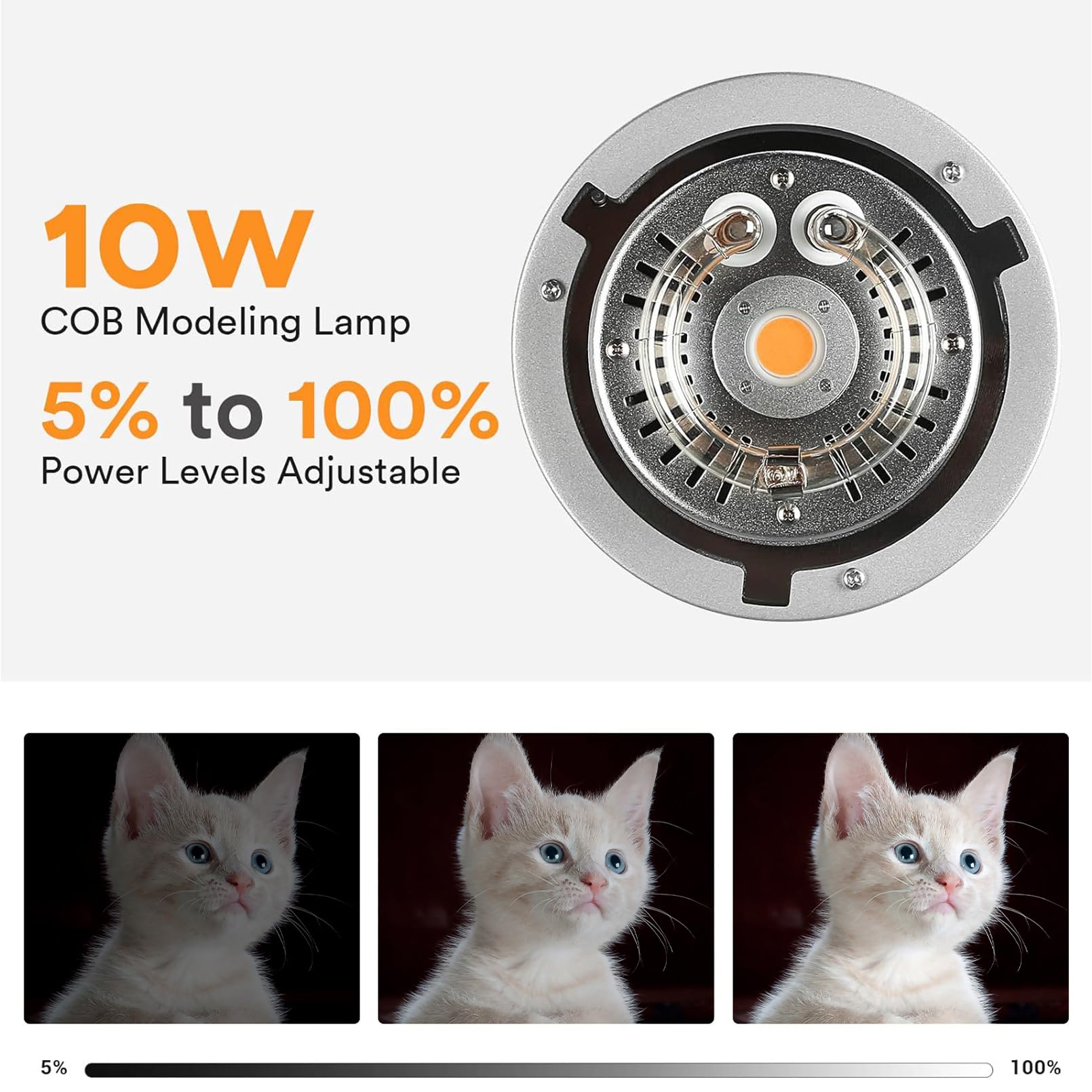 Godox MS200V luz de Flash estr - Photography Lighting For Portraits reseña y precio